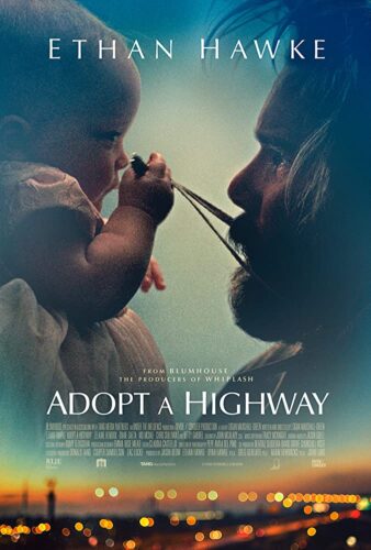دانلود فیلم یک بزرگراه را تمیز کن Adopt a Highway 2019