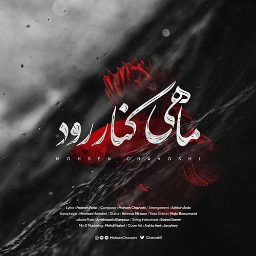 متن آهنگ محسن چاوشی به نام ماهی کنار رود
