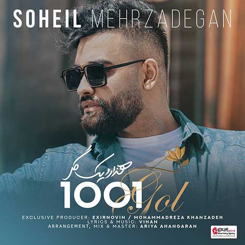 متن آهنگ سهیل مهرزادگان به نام 1001 گل