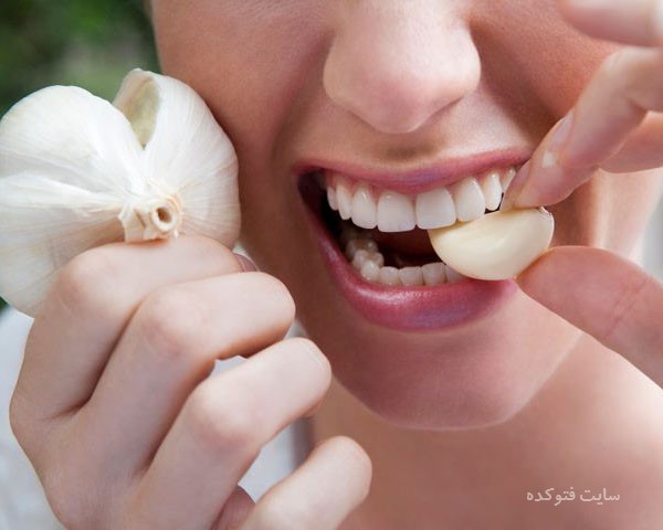 روش های قطع و از بین بردن بوی سیر از دهان