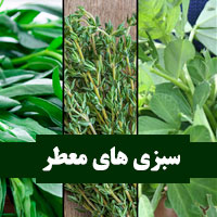 اسامی سبزی های معطر + آشنایی با خواص سبزیجات معطر