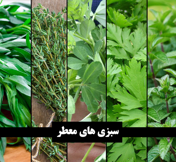سبزیجات معطر