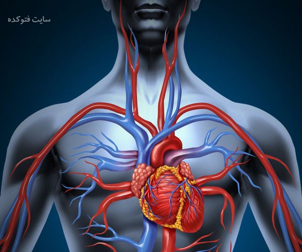 راهکار افزایش گردش خون
