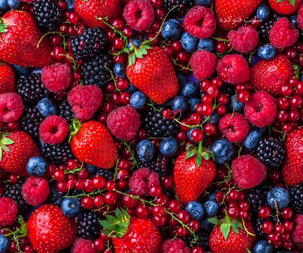 عکس انواع مختلف توت ها در لیست بهترین مواد غذایی برای صبحانه