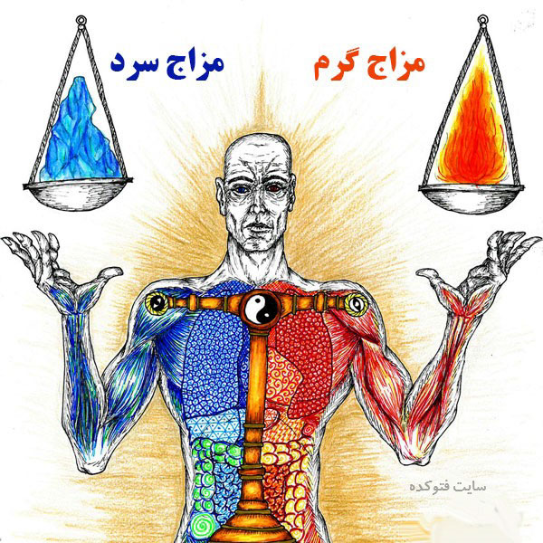 طبع شناسی در طب سنتی سرد و گرم چیست