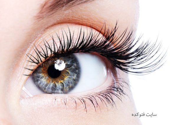 تقویت و رشد سریع مژه ها با طب سنتی اسلامی