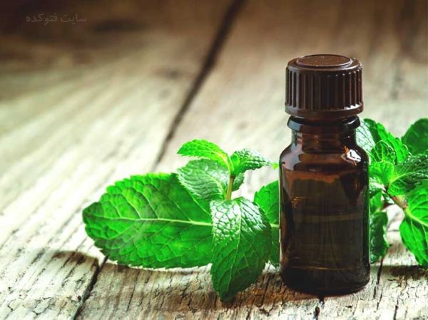 درمان تورم بی دلیل لب با روغن پونه کوهی