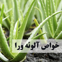 خواص آلوئه ورا + 32 خاصیت آلوئه ورا برای پوست، لاغری