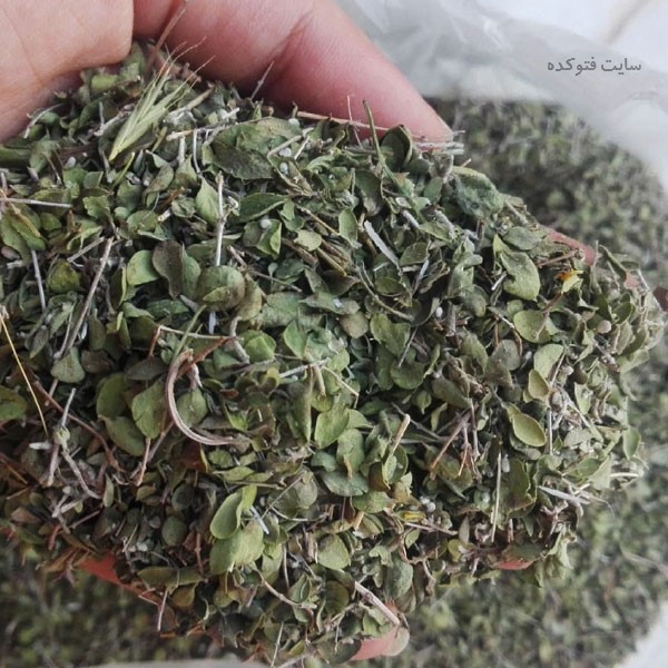 خواص آویشن (کهلیک اوتی) در لاغری پوست و معده