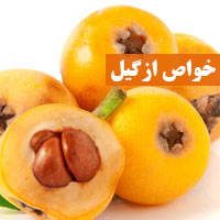 خواص ازگیل + ۲۱ خاصیت دارویی ازگیل برای سلامتی