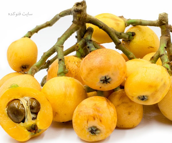 خواص ازگیل برای کبد دیابت و قند خون و کلسترول