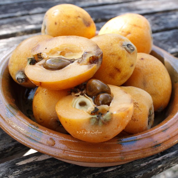 خاصیت ازگیل برای زنان و مردان