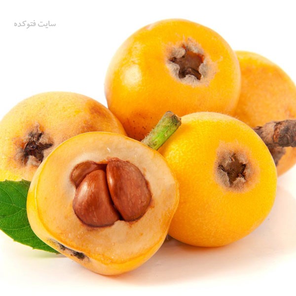 ازگیل چه خواصی دارد خواص ازگیل برای کبد و دیابت