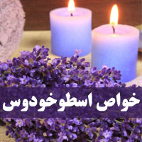 خواص اسطوخودوس چیست
