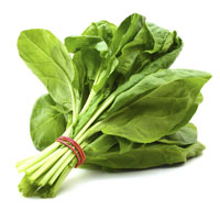 خواص اسفناج + فواید و مضررات اسفناج در بارداری و کودکان