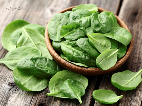 خواص اسفناج + فواید و مضررات اسفناج در بارداری و کودکان