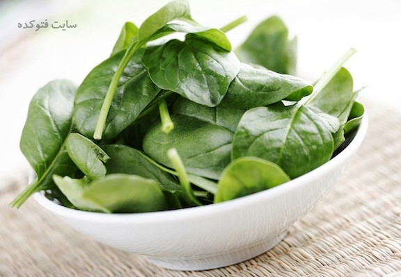 خواص اسفناج + فواید و مضررات اسفناج در بارداری و کودکان
