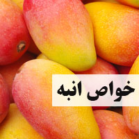 خواص انبه + 30 خاصیت انبه برای سلامتی، پوست و بارداری