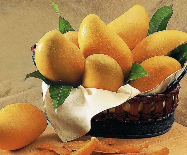 خاصیت انبه برای سلامتی پوست و بارداری