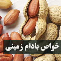 خواص بادام زمینی + 28 خاصیت بادام زمینی برای پوست، مو
