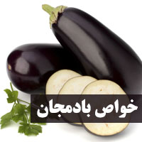 خواص بادمجان + 34 خاصیت بادمجان سیاه برای سلامتی