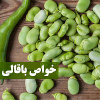 خواص باقلا | ۲۲ خاصیت باقالی برای پوست دیابت و سلامتی