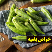 خواص بامیه + ۳۰ خاصیت بامیه برای دیابت بارداری و مردان