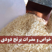 خواص برنج دودی + ۱۱ خاصیت و مضرات خوردن برنج دودی