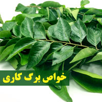 خواص برگ کاری | ۱۴ خاصیت برگ کاری برای مو تا وزن