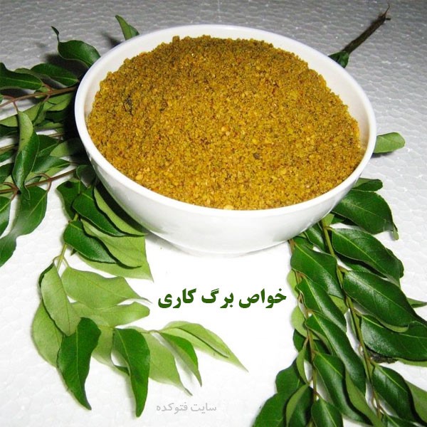 خواص ادویه برگ کاری برای ریزش مو