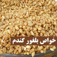 خواص بلغور گندم + ۱۵ خاصیت بلغور برای لاغری و رشد