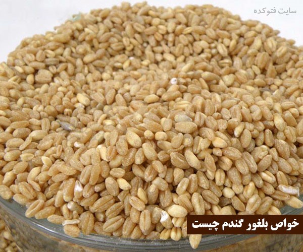 خاصیت بلغور گندم برای لاغری و سلامتی
