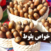خواص بلوط + ۳۱ خاصیت بلوط برای معده و اسهال و بدنسازی