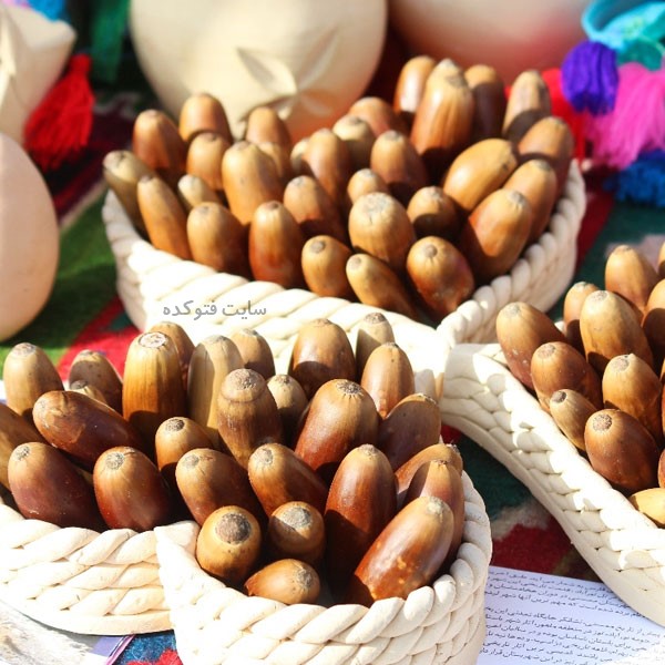 خاصیت بلوط برای معده و روده چیست