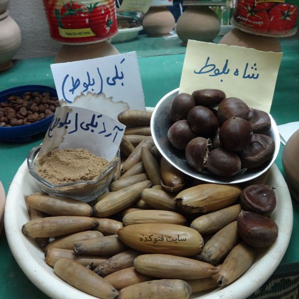 خواص بلوط برای اسهال کودکان و دیابت