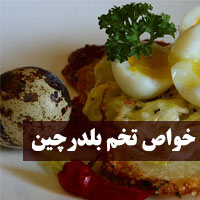 خواص تخم بلدرچین + ۲۶ خاصیت تخم بلدرچین برای سلامتی