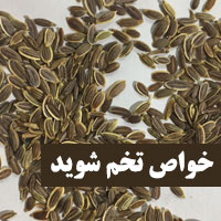 خواص تخم شوید + ۱۵ خاصیت تخم شوید برای سلامتی
