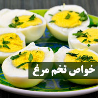 خواص تخم مرغ + ۲۴ خاصیت تخم مرغ با مضرات برای بدن