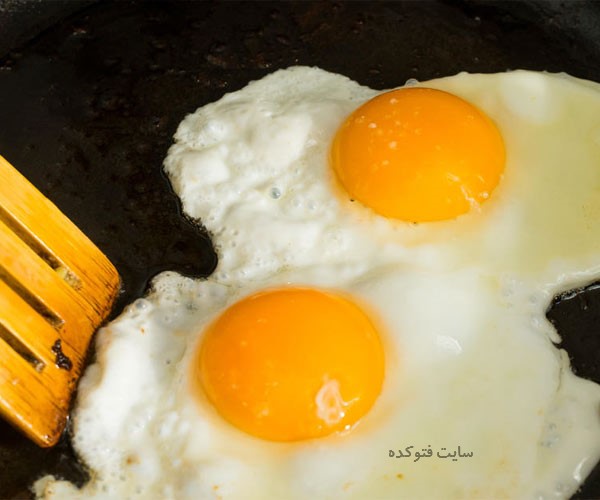 خاصیت تخم مرغ