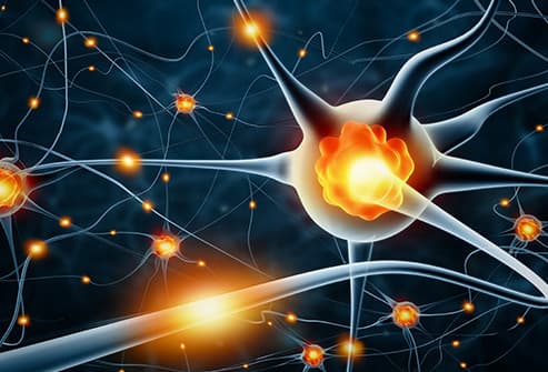 تقویت مغز و حافظه از خاصیت خوردن تخم مرغ
