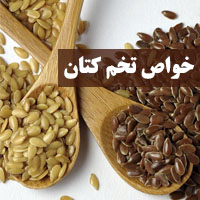 خواص تخم کتان + 31 خاصیت تخم کتان برای لاغری، پوست