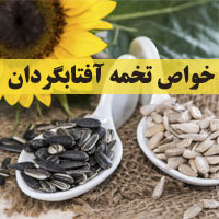 خواص تخمه آفتابگردان + ۴۰ خاصیت تخمه آفتابگردان برای بدن