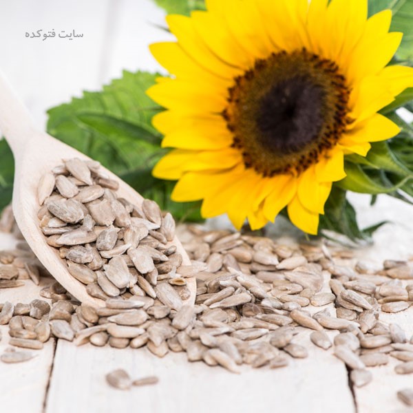 می دانید تخمه آفتابگردان چه فوایدی دارد