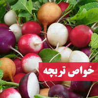 خواص تربچه | ۲۵ خاصیت تربچه برای سلامتی که نمی دانید