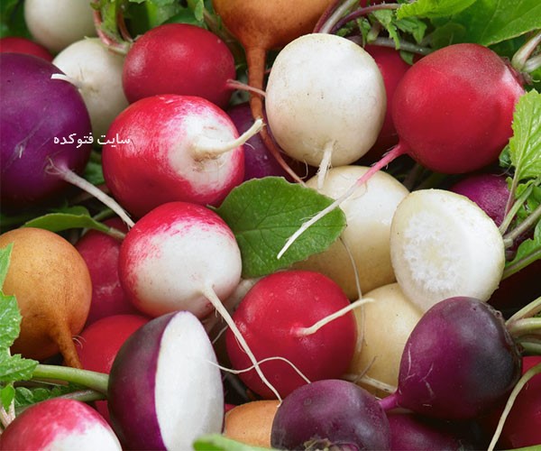 خاصیت تربچه