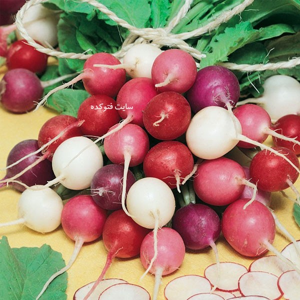 تربچه برای سلامتی