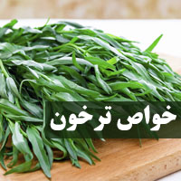 خواص ترخون | 34 خاصیت ترخون برای فشار، معده و سلامتی