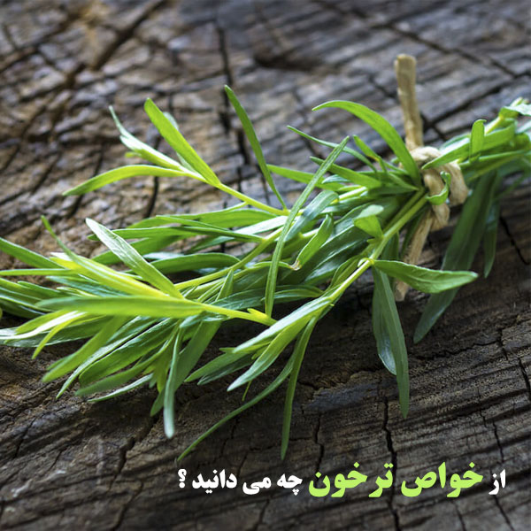 خاصیت ترخون برای فشار، معده و سلامتی