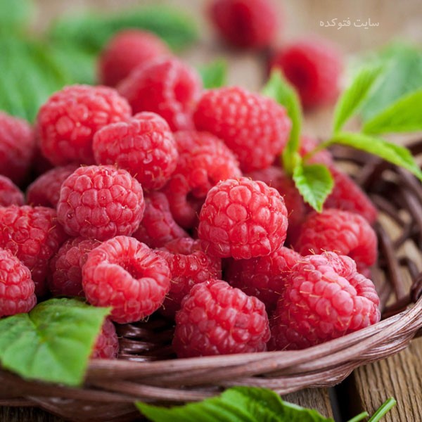 خواص تمشک برای پوست و مو و لاغری و کاهش وزن