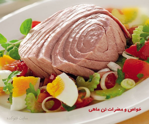 خواص تن ماهی برای پوست و ورزشکاران و بدنسازی چیست